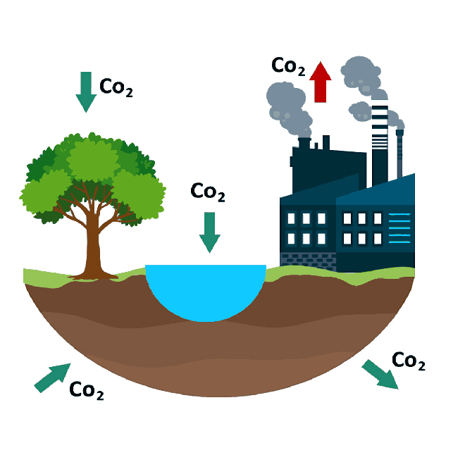 CARBON SINK -  - 1